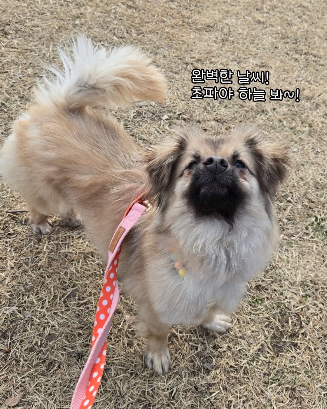 상세 사진 15