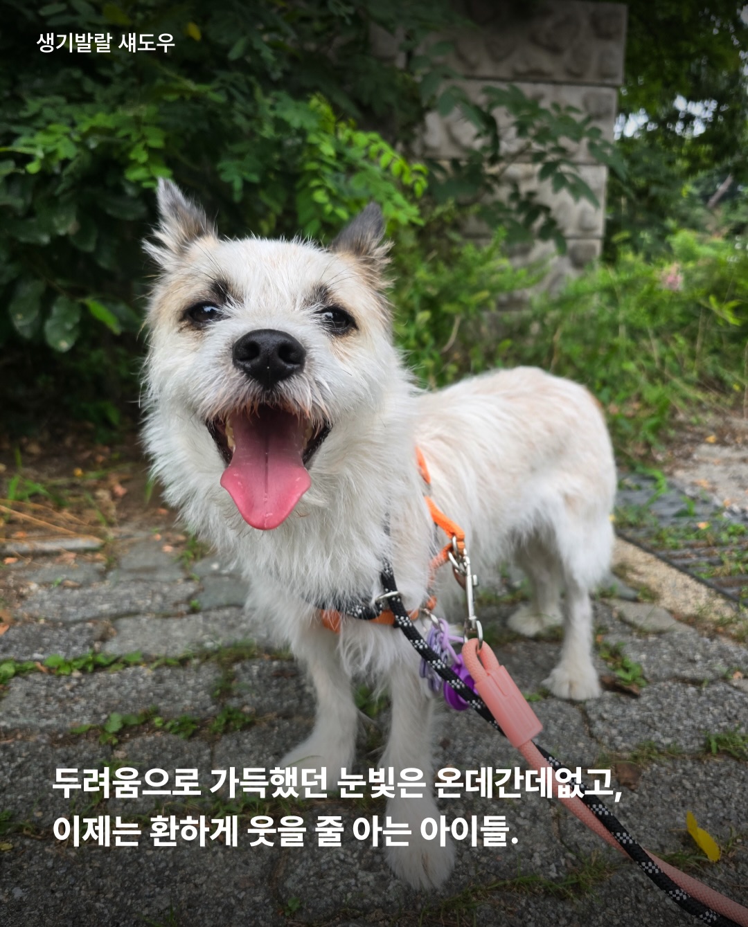 상세 사진 10