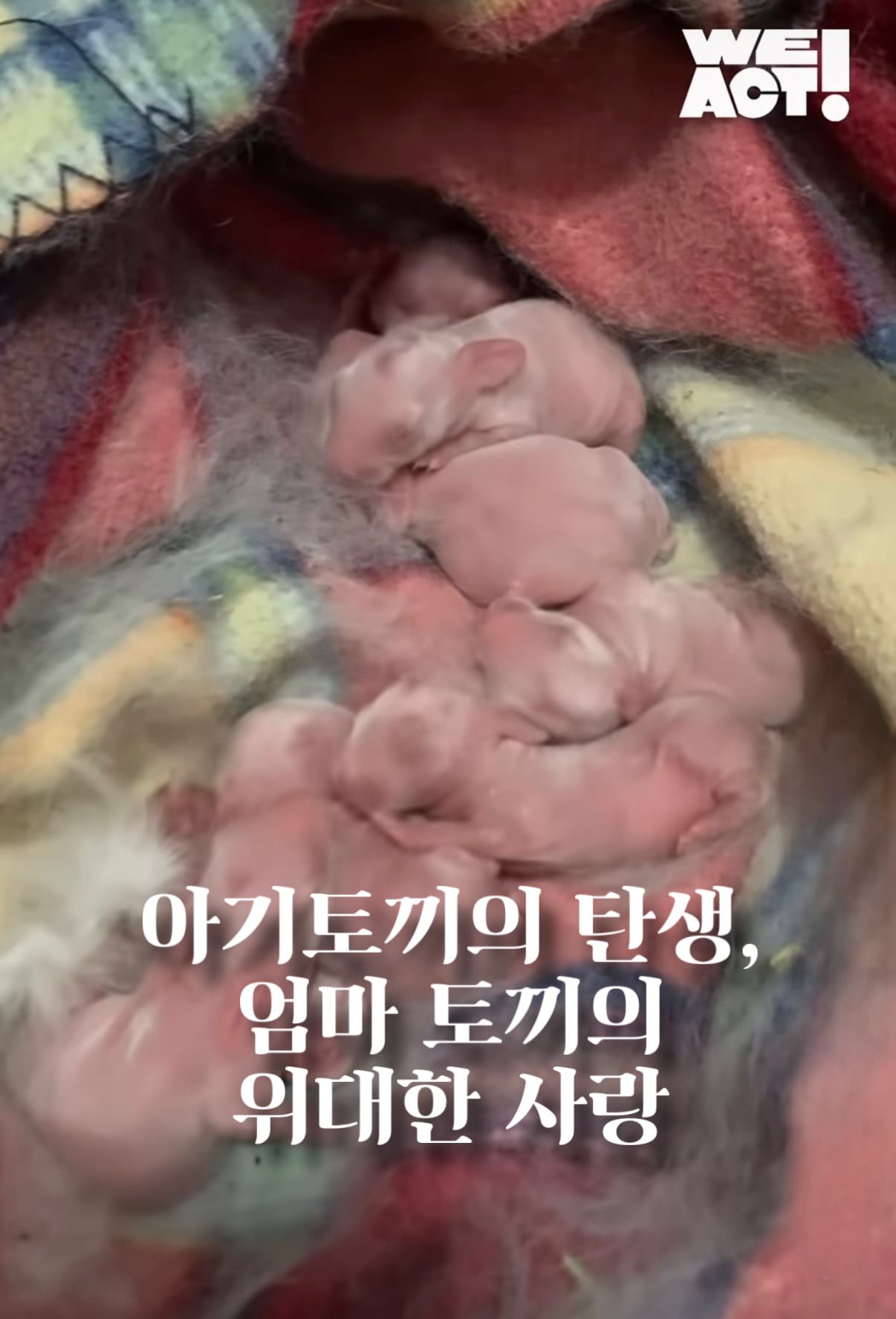 상세 사진 1