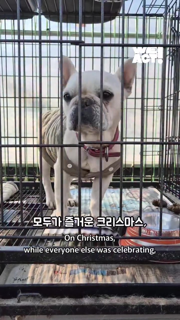 상세 사진 1
