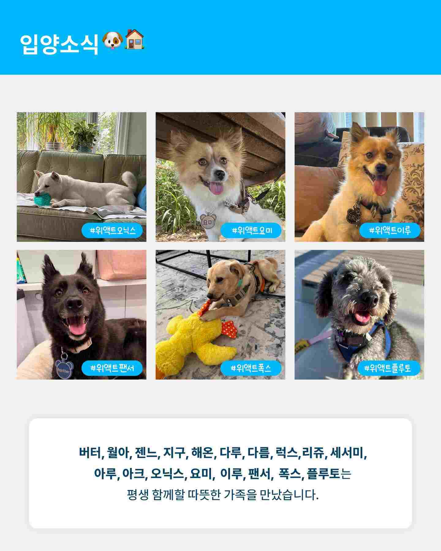 상세 사진 4