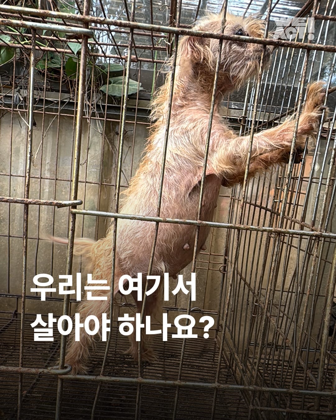 상세 사진 1