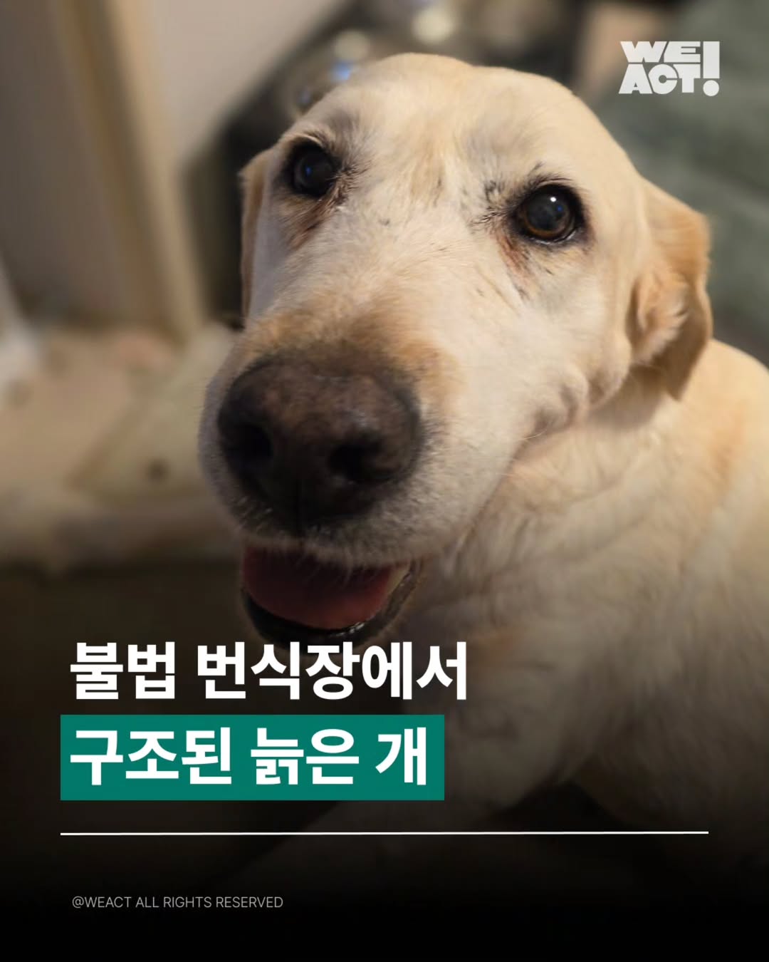 상세 사진 1