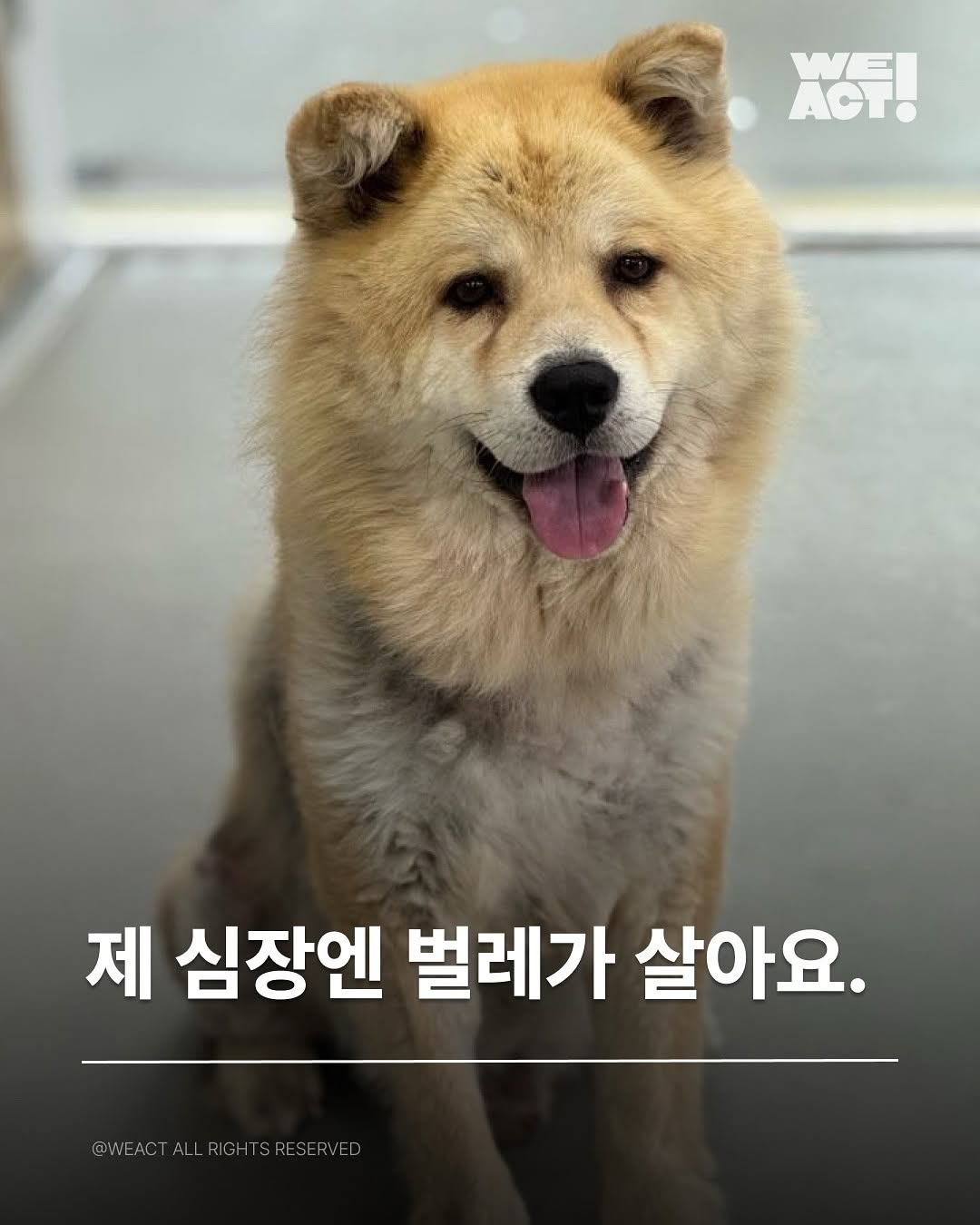 상세 사진 1