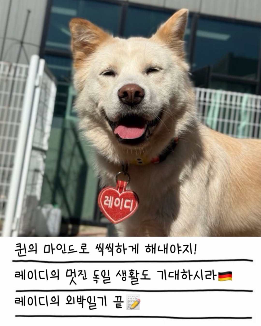 상세 사진 20
