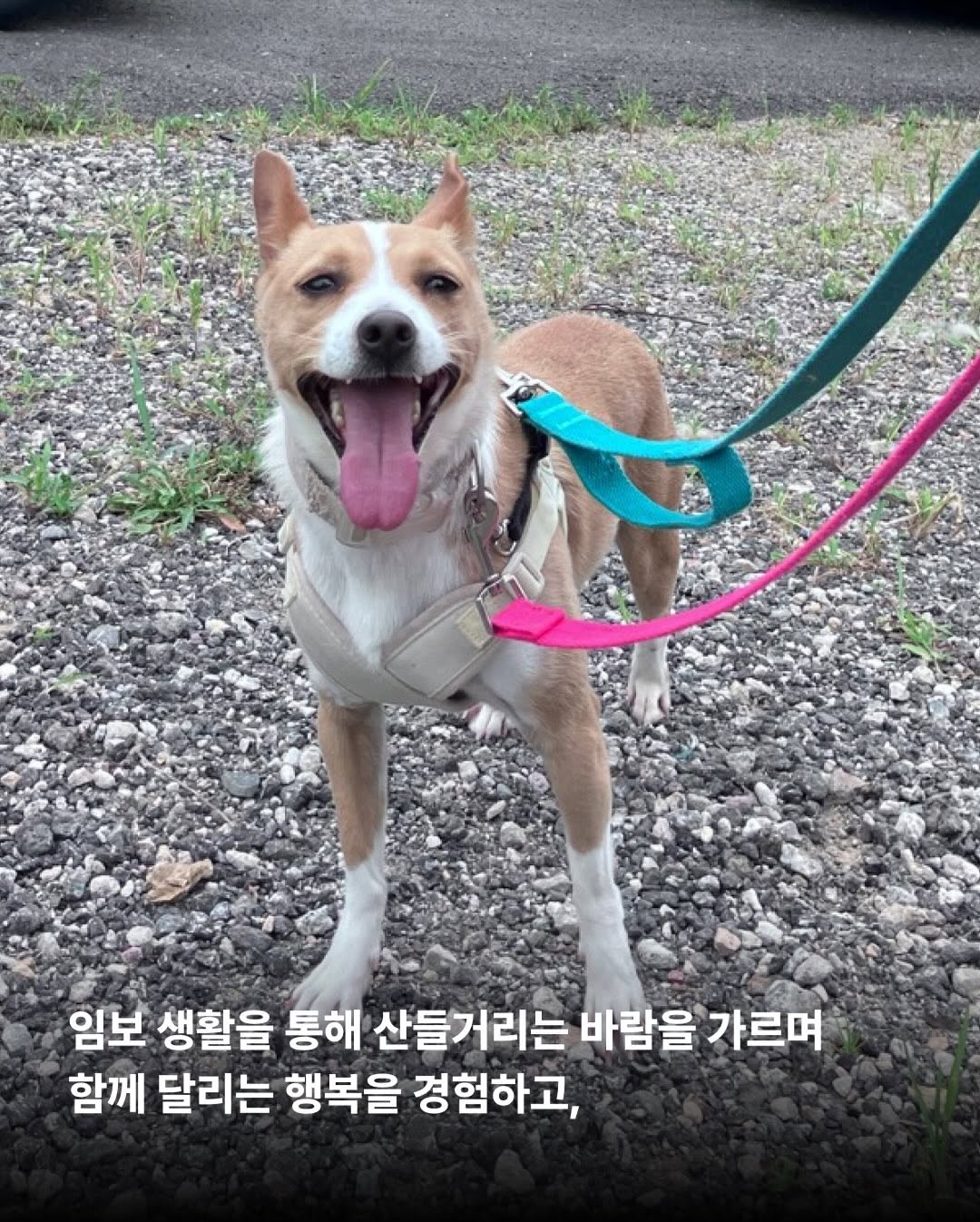 상세 사진 5