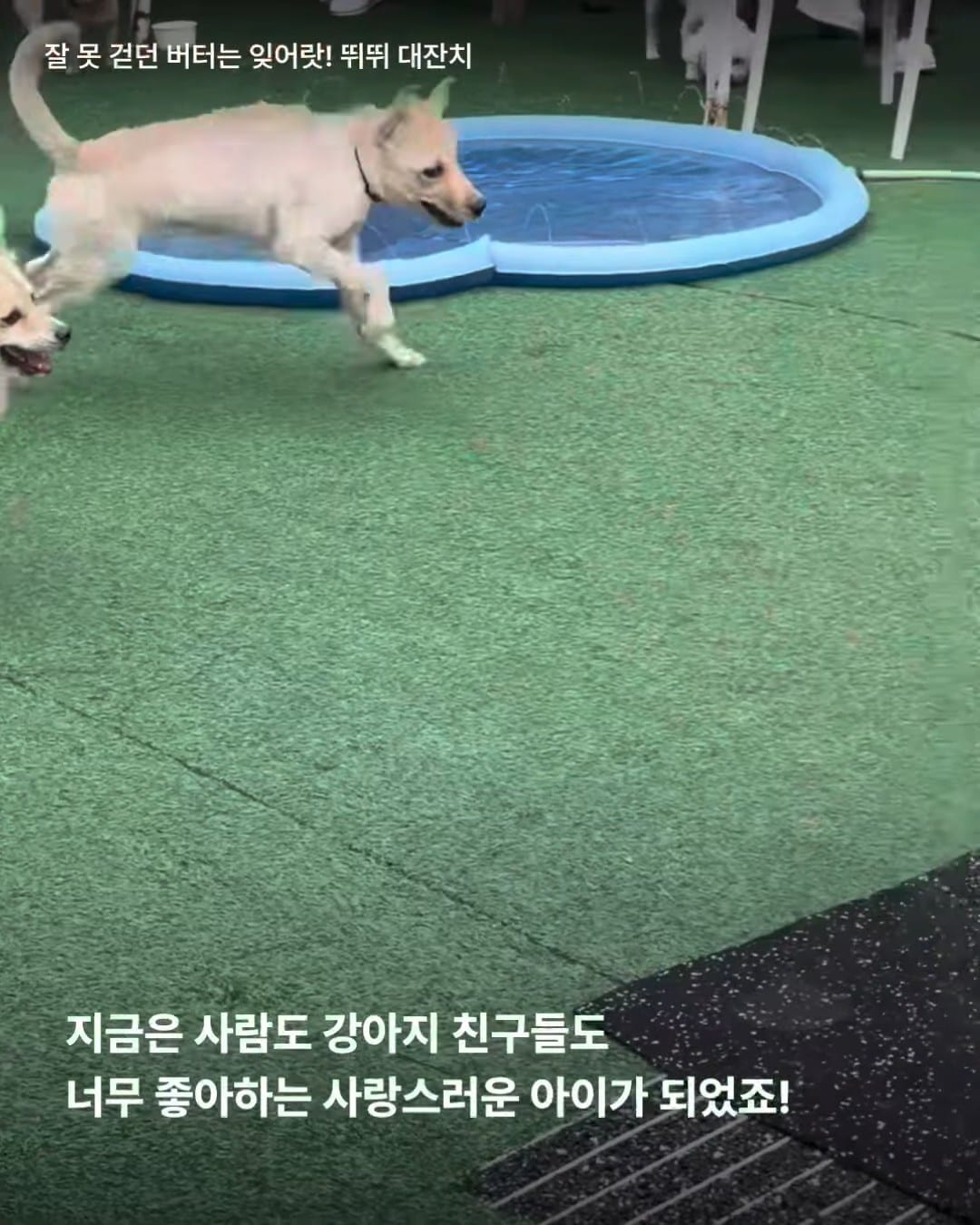 상세 사진 12