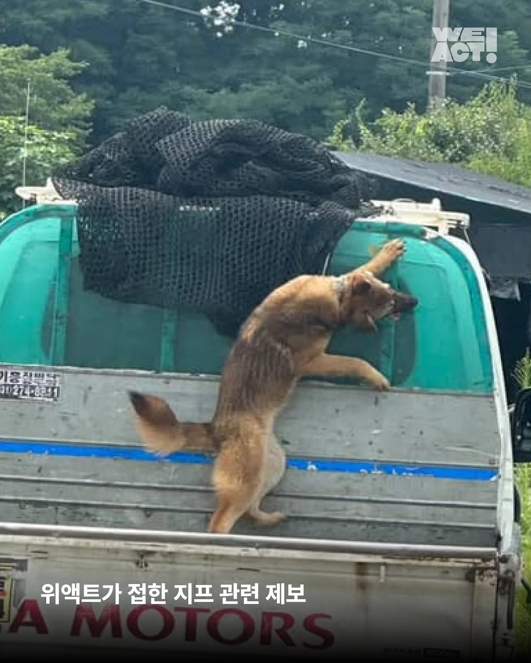 상세 사진 2