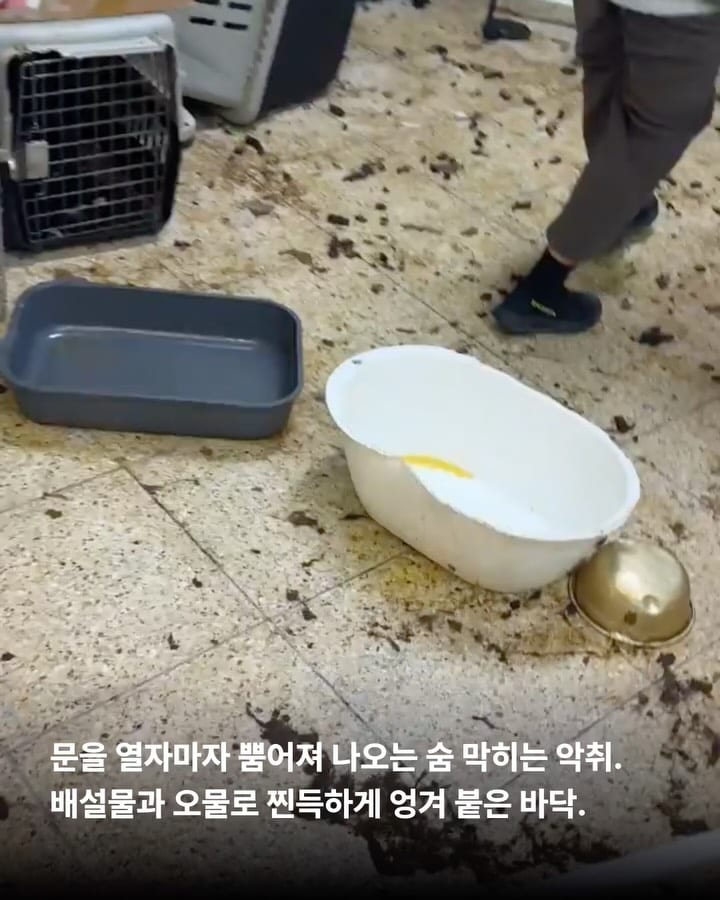 상세 사진 3