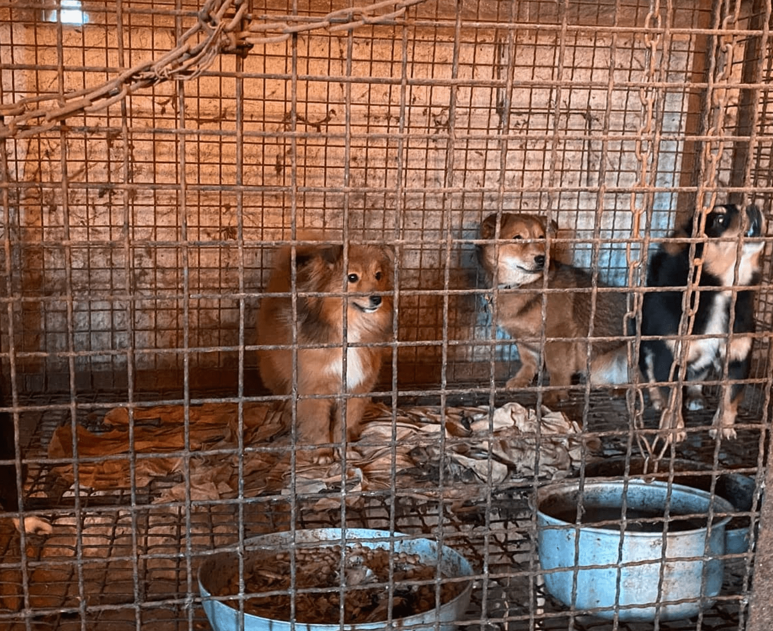 상세 사진 1