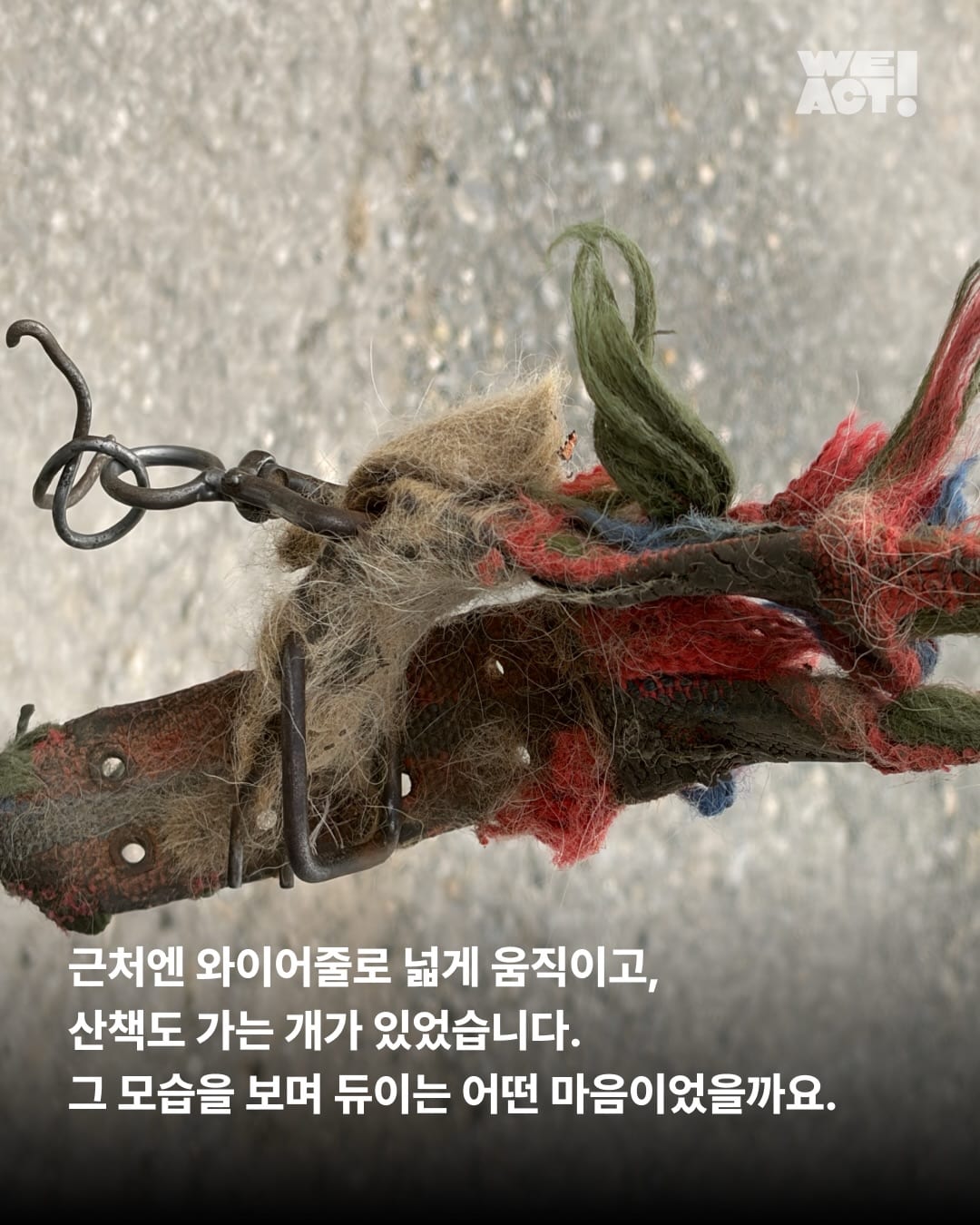 상세 사진 4