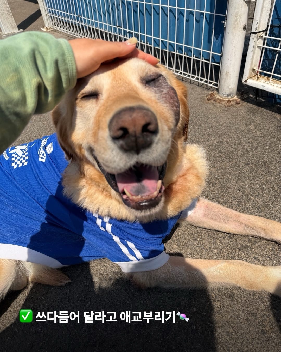 상세 사진 4