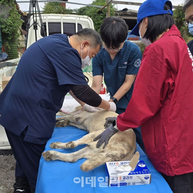 상세 사진 5