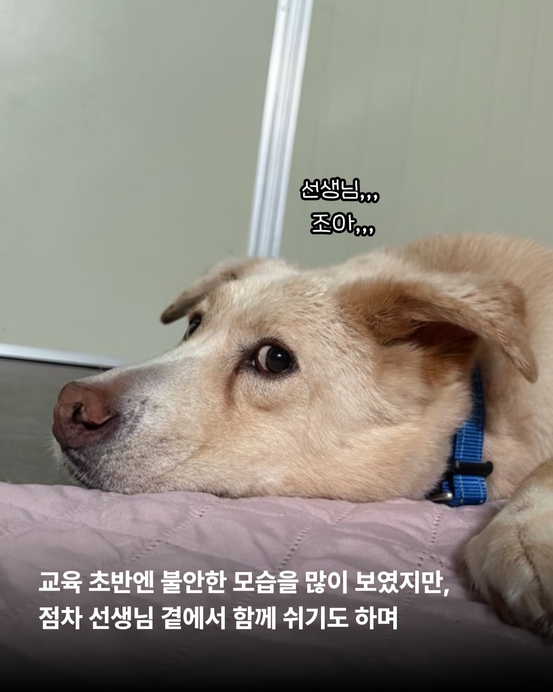 상세 사진 6