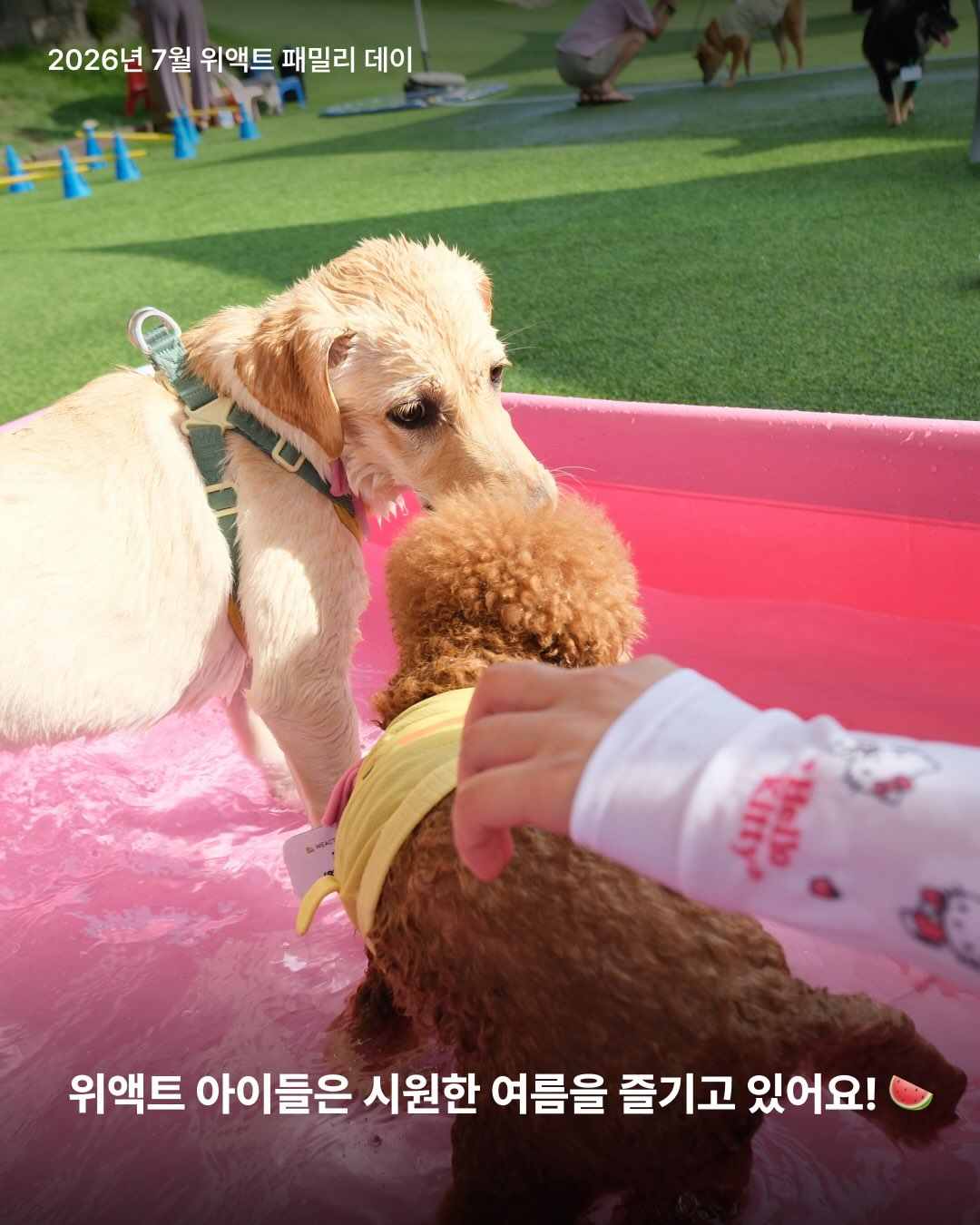 상세 사진 5