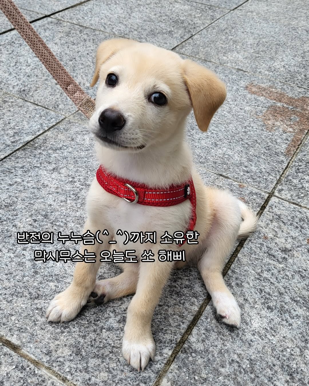 상세 사진 5
