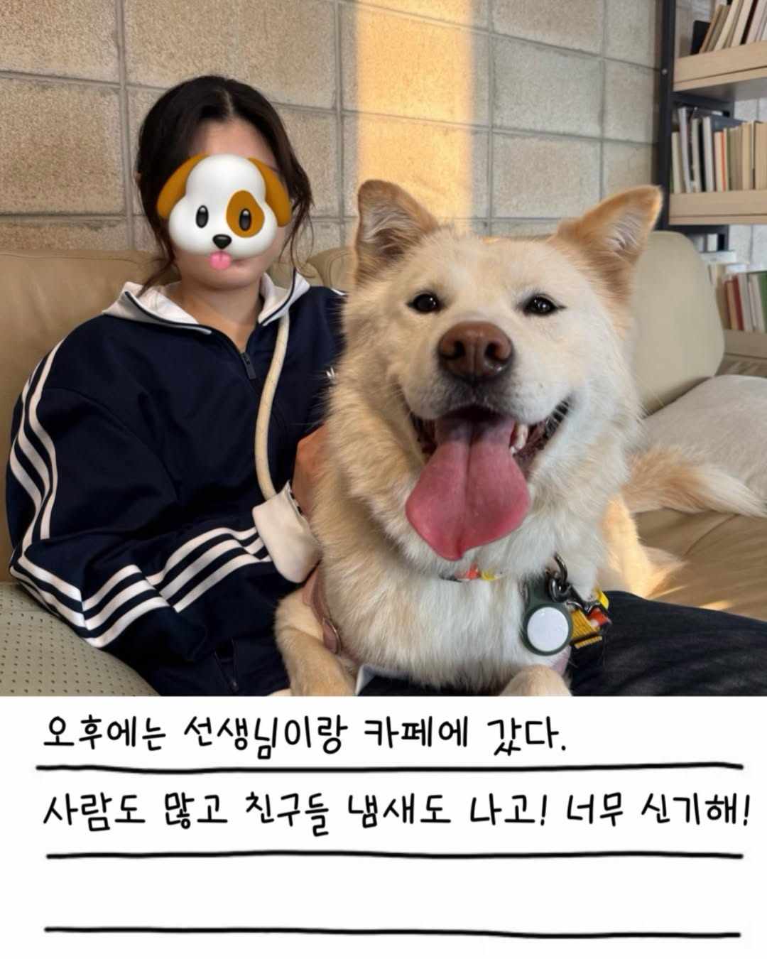 상세 사진 10