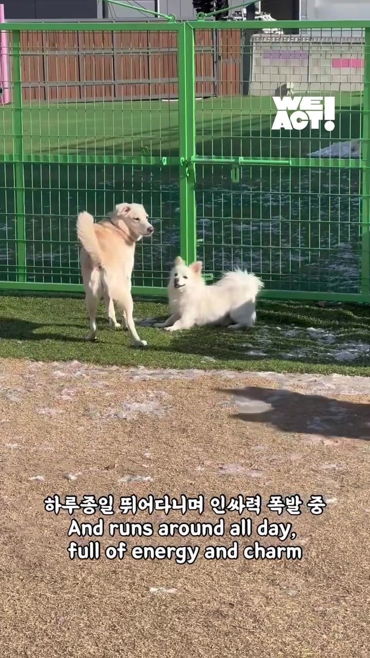 상세 사진 6