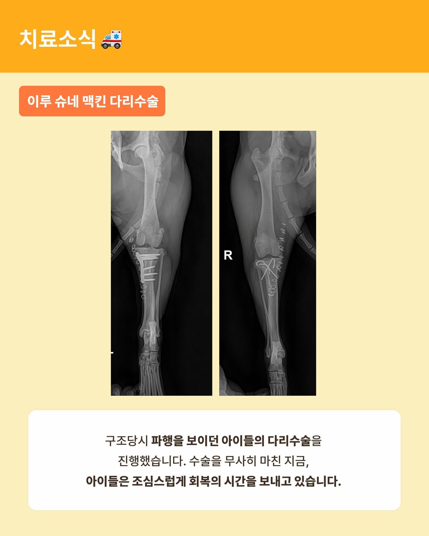 상세 사진 10
