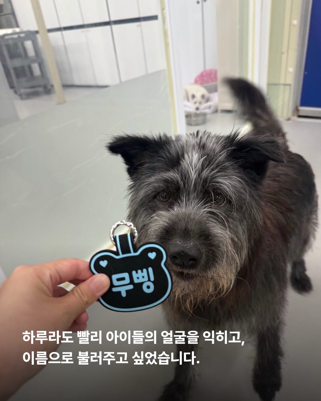 상세 사진 5