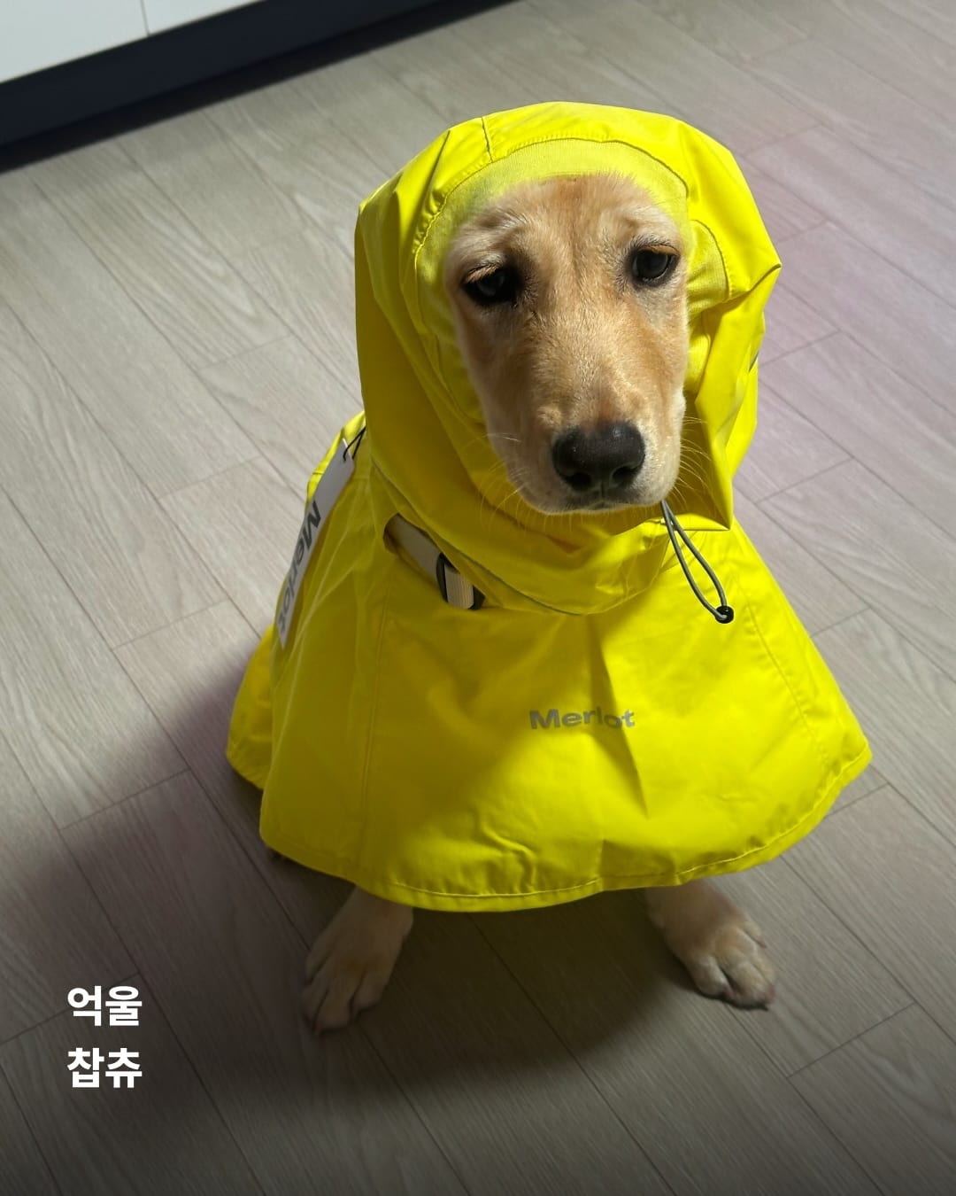 상세 사진 17