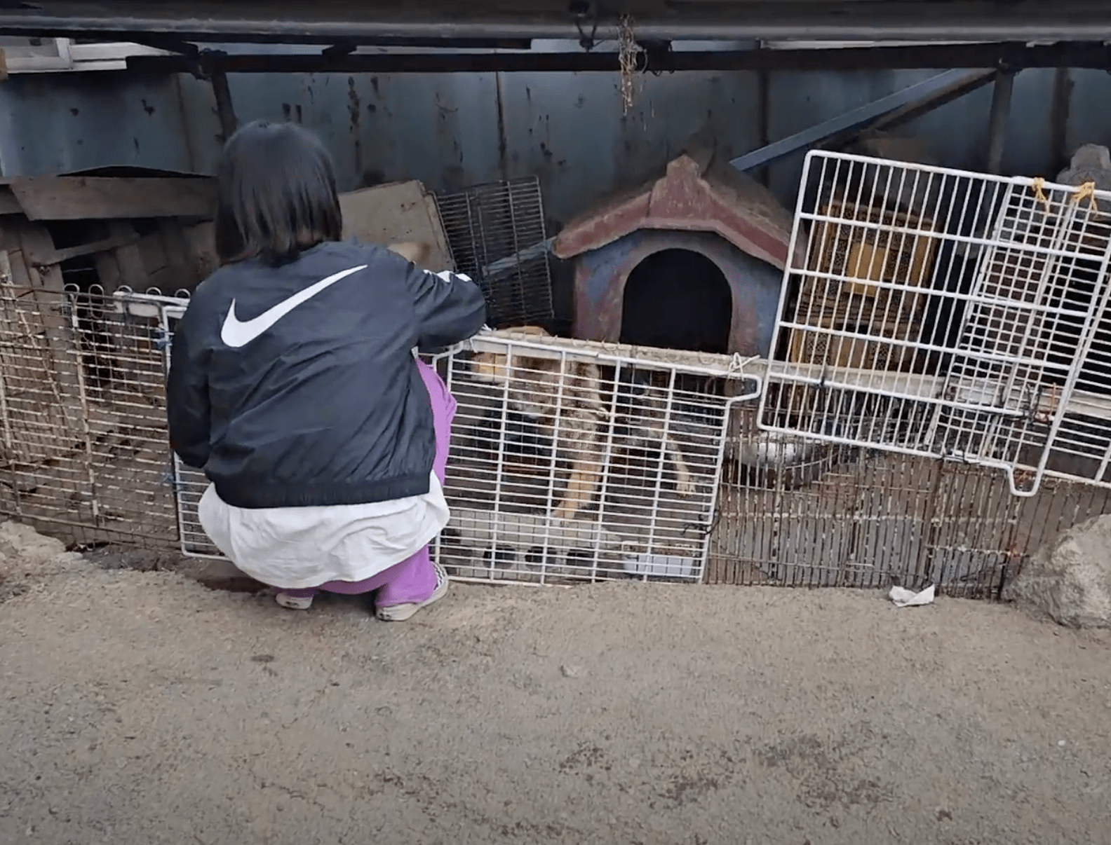 상세 사진 3
