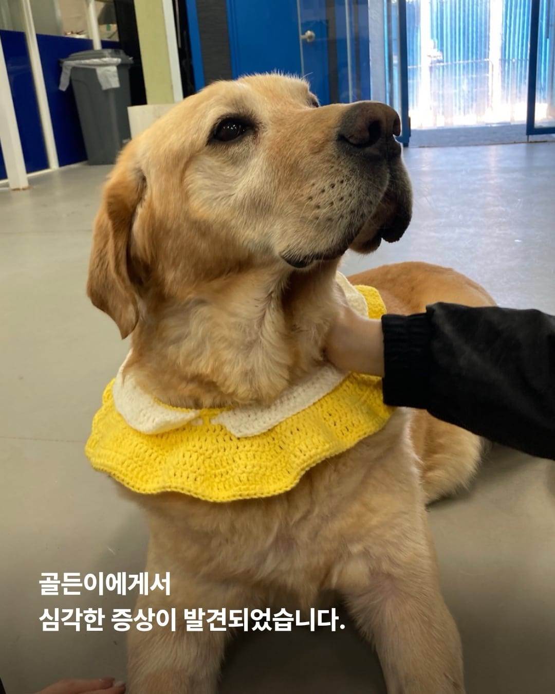 상세 사진 2