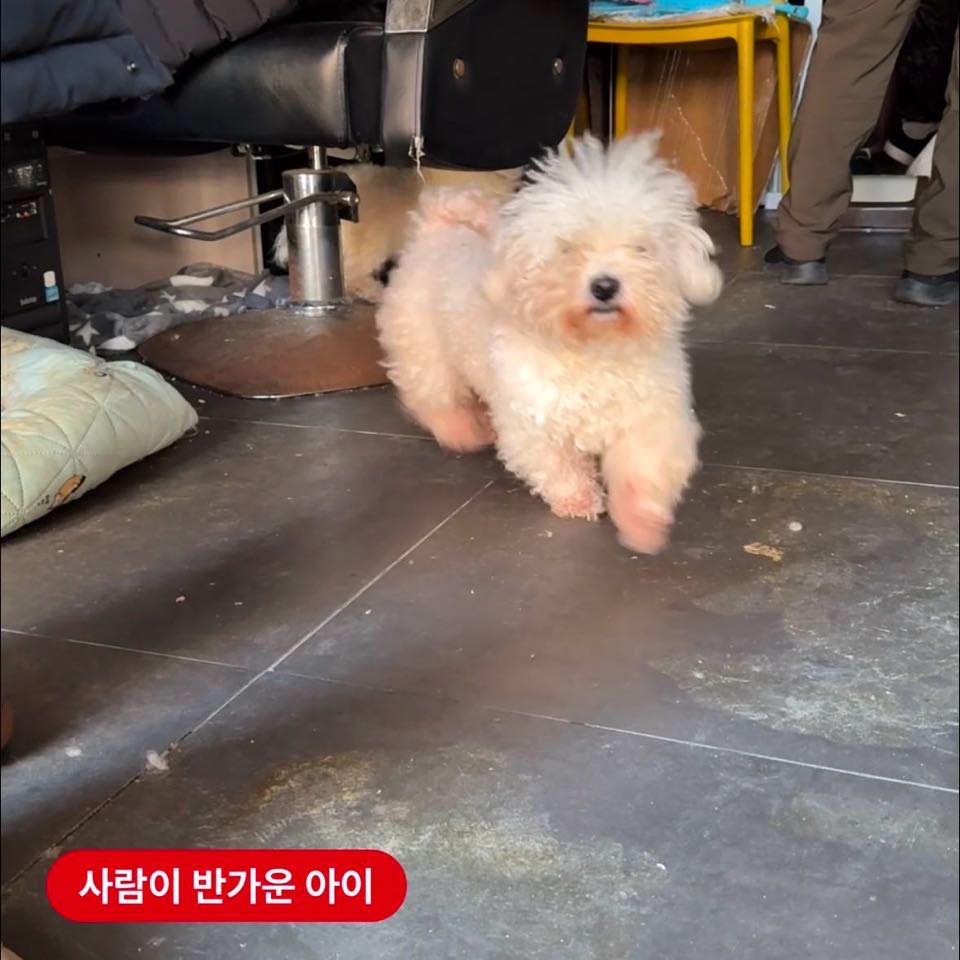 상세 사진 6
