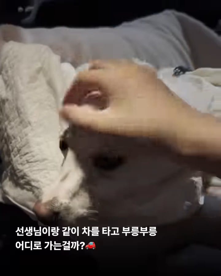 상세 사진 2