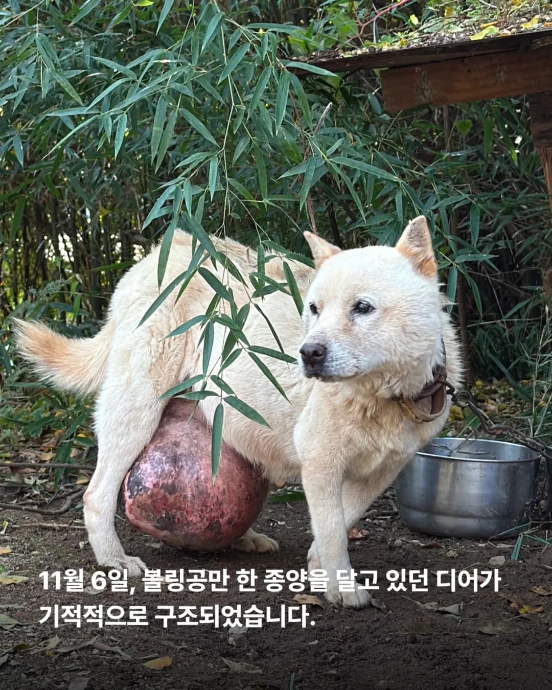 상세 사진 2