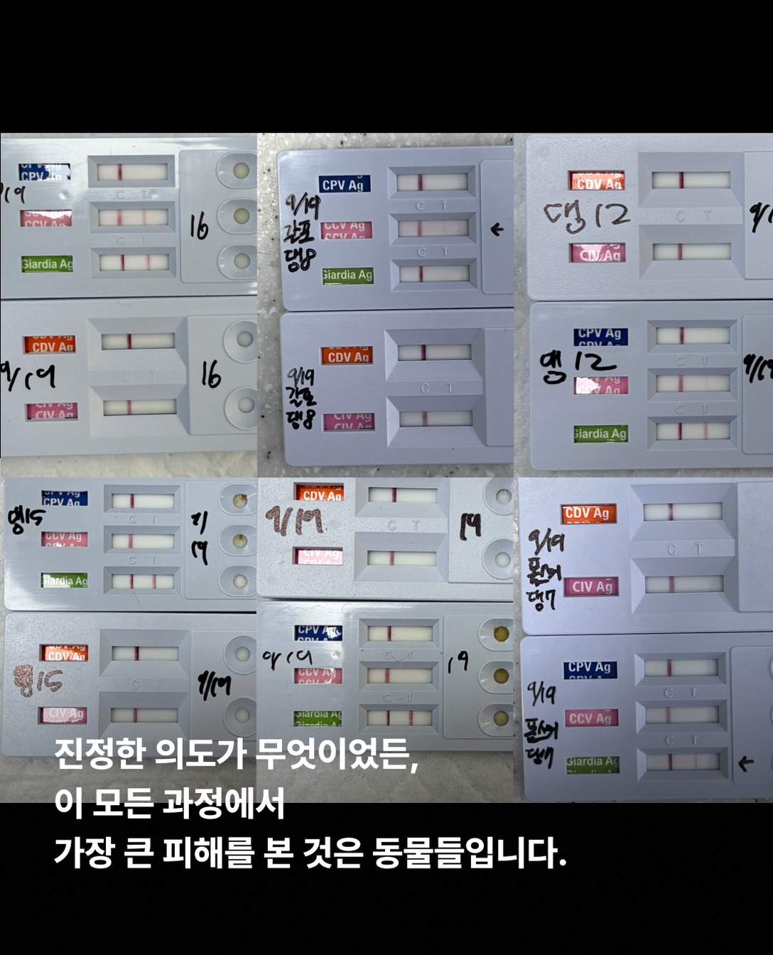 상세 사진 11