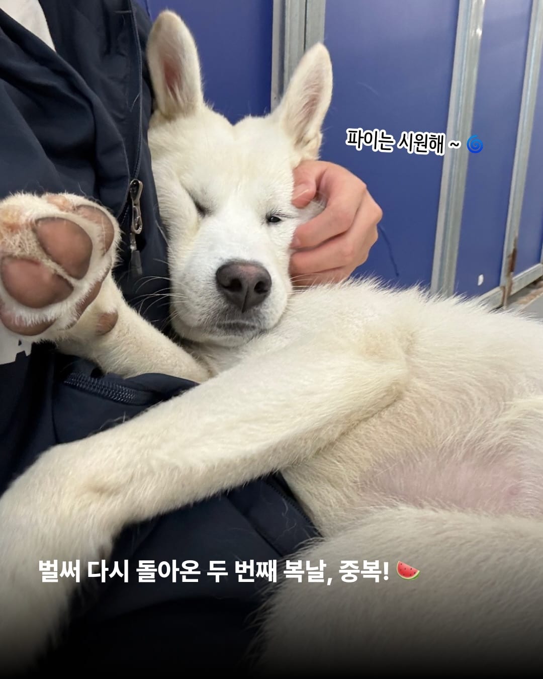상세 사진 2