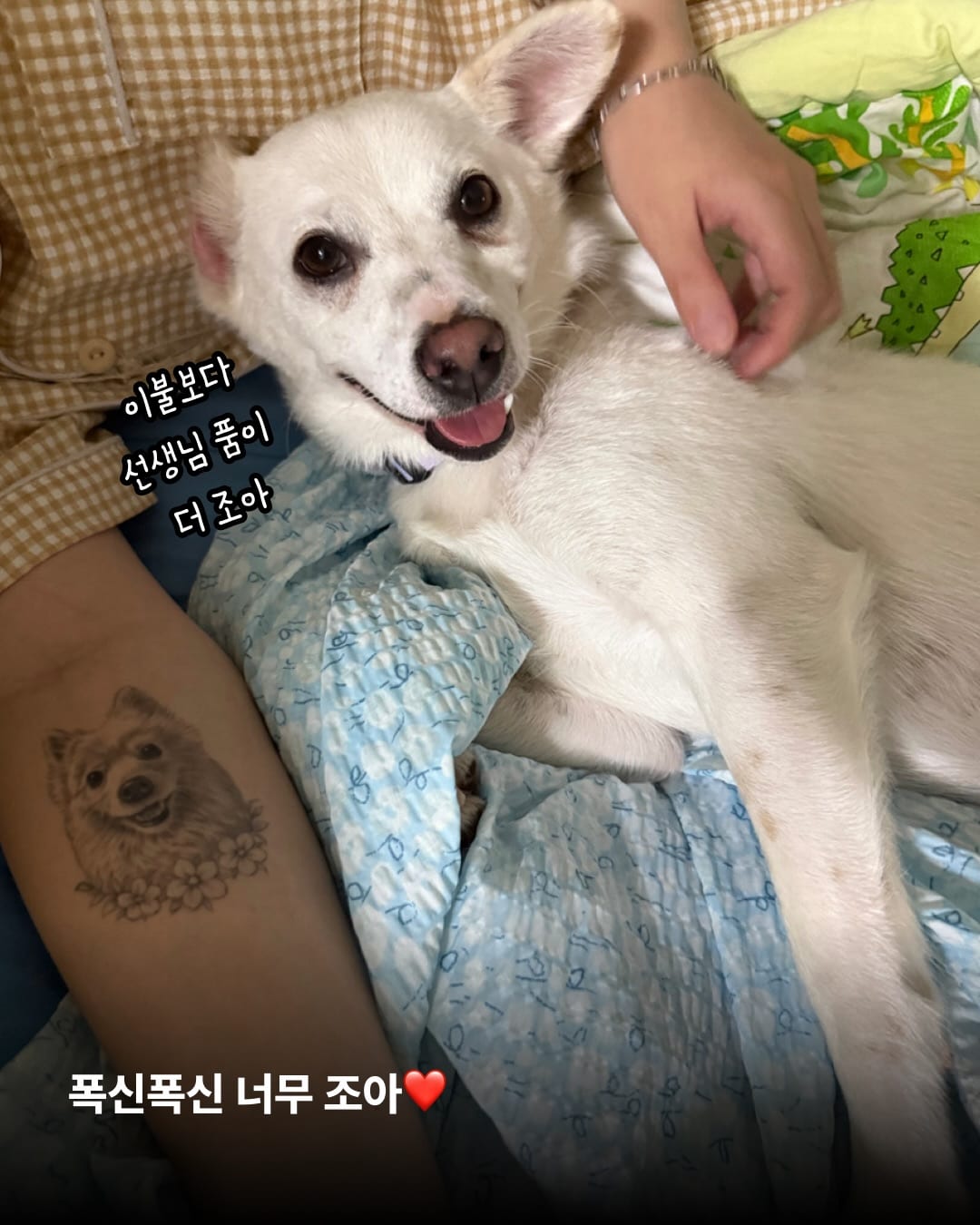 상세 사진 4