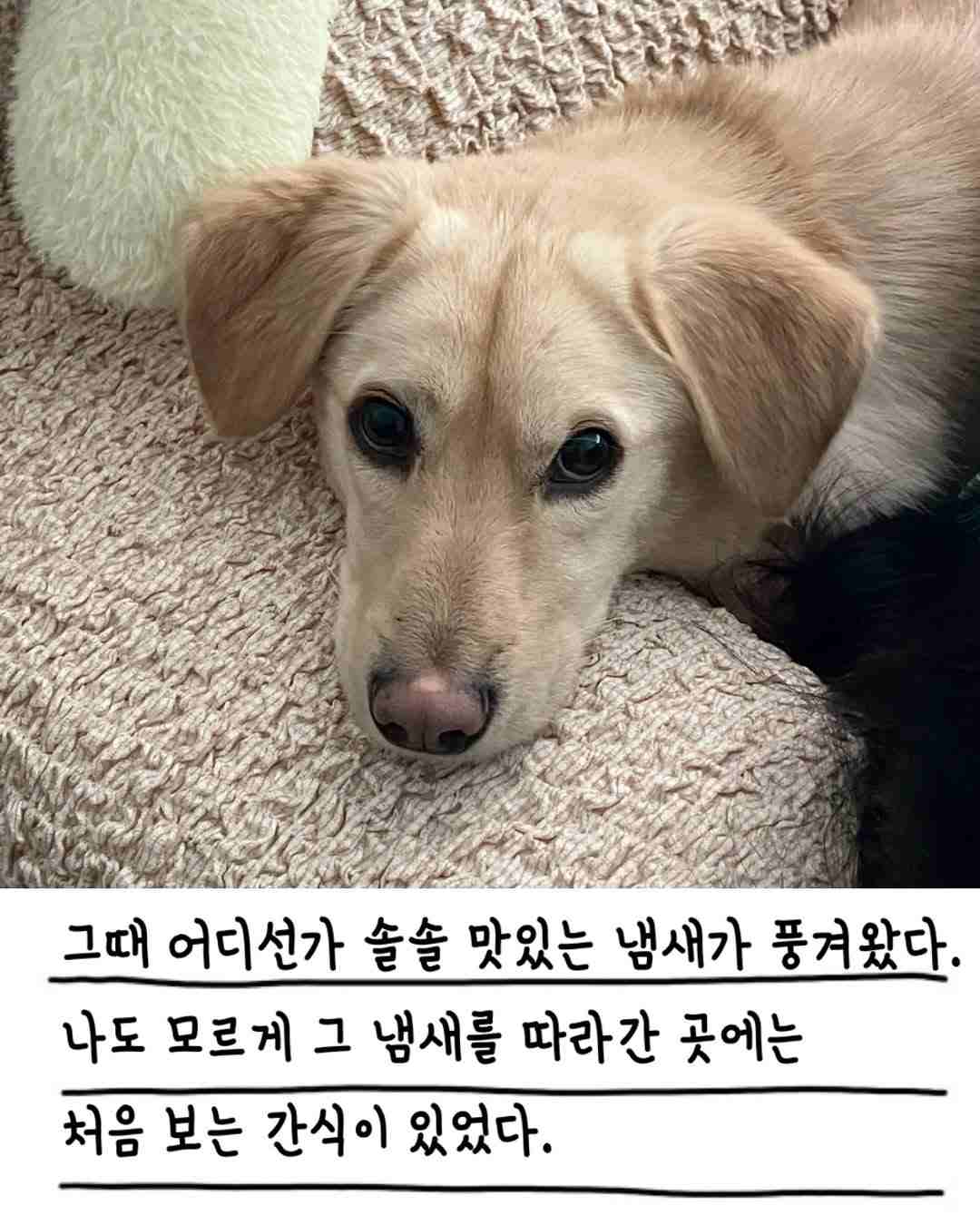 상세 사진 5