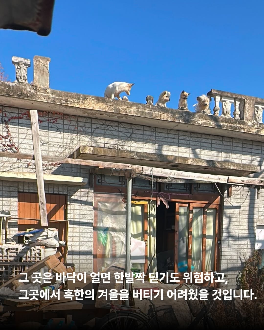 상세 사진 8