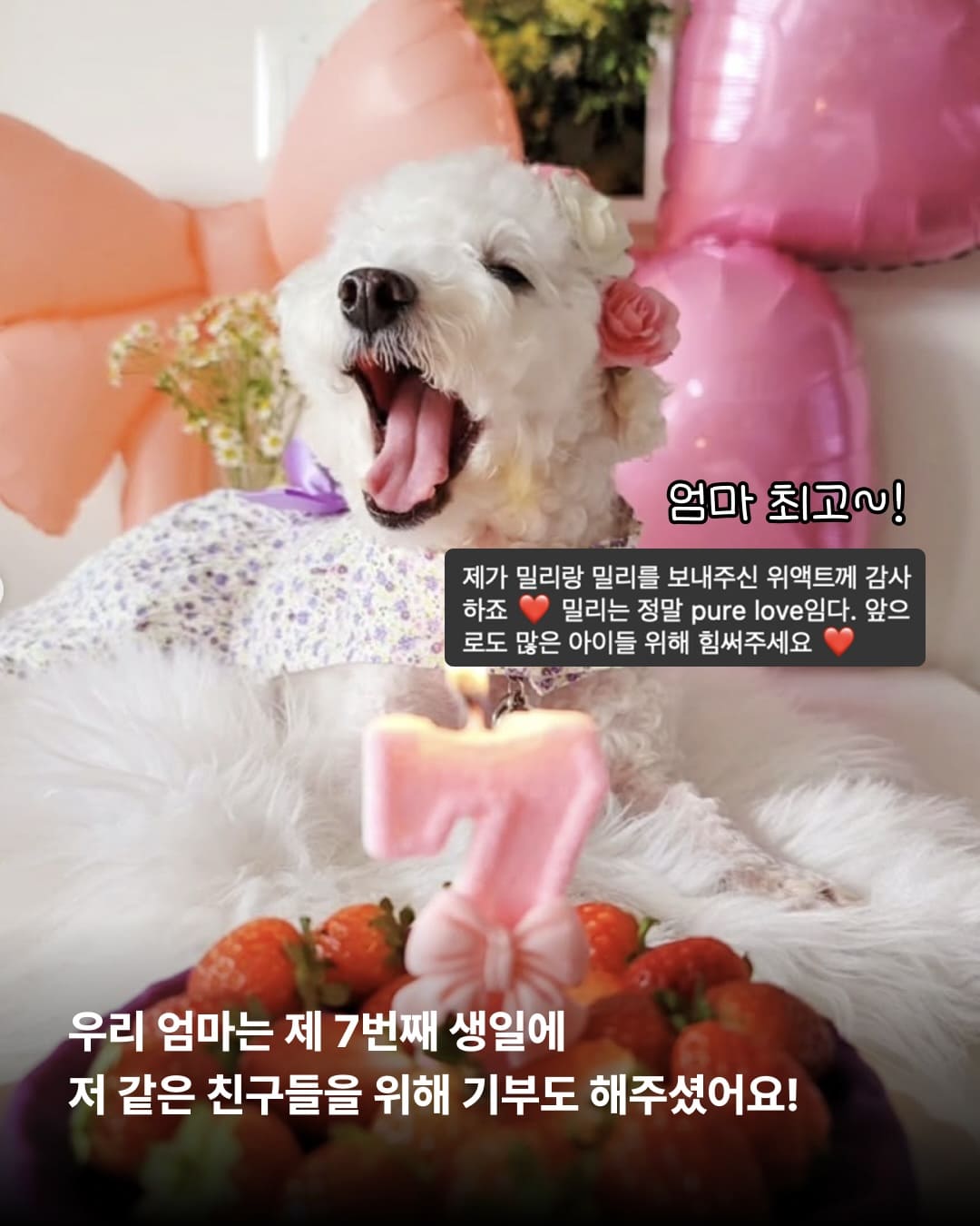 상세 사진 10