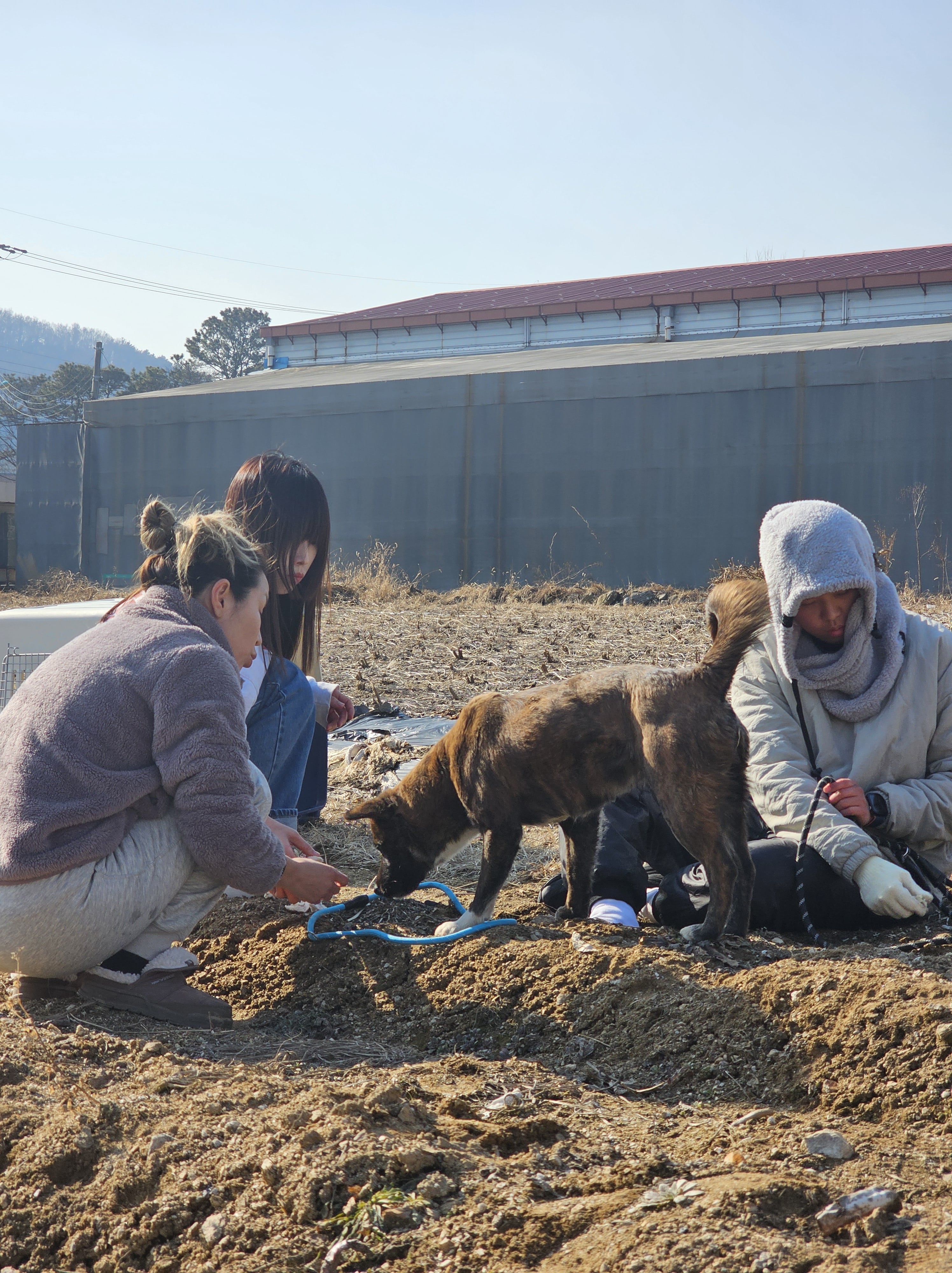 상세 사진 5