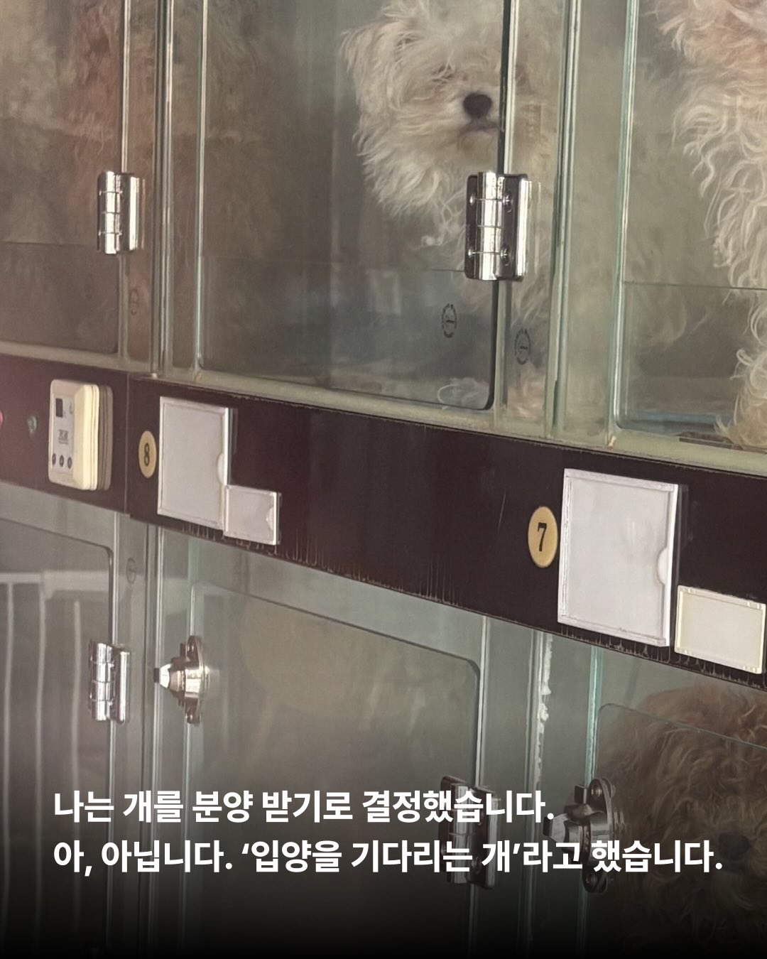 상세 사진 3