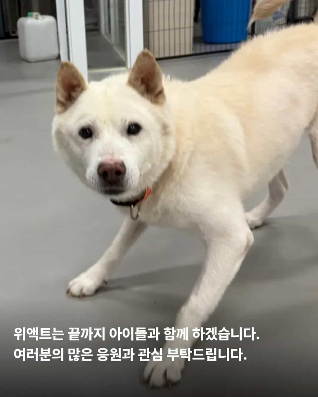 상세 사진 18