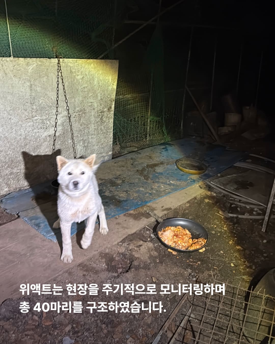 상세 사진 3