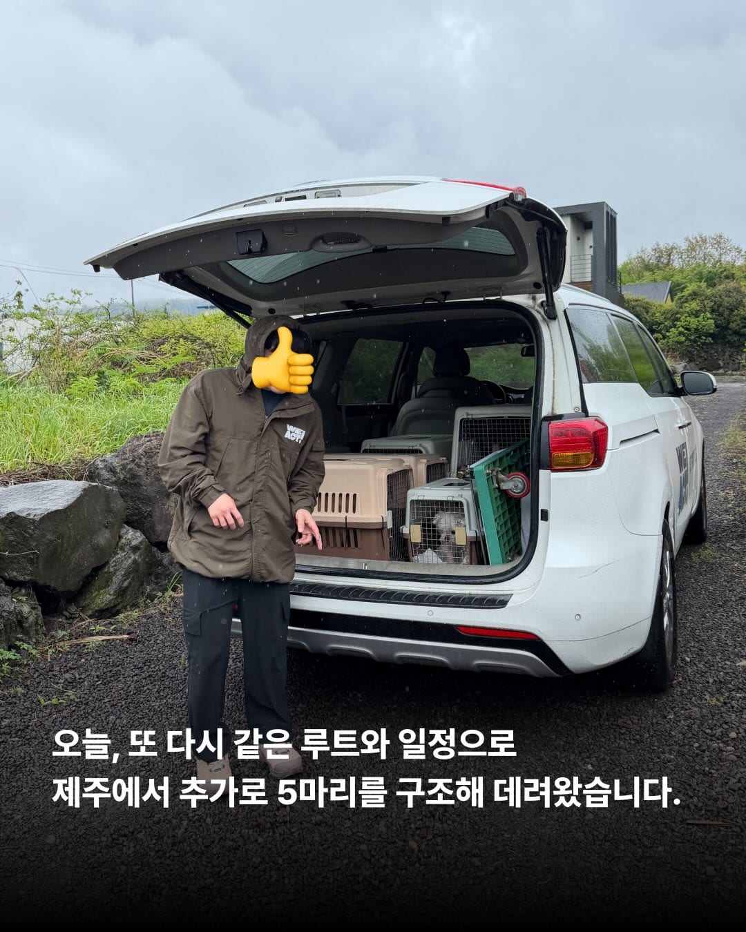 상세 사진 3