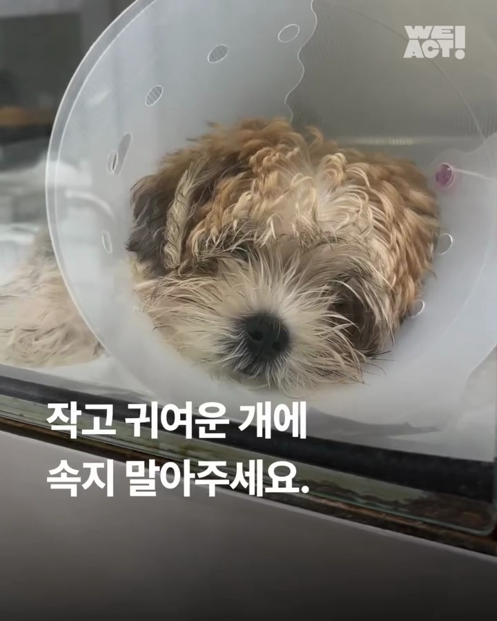 상세 사진 1
