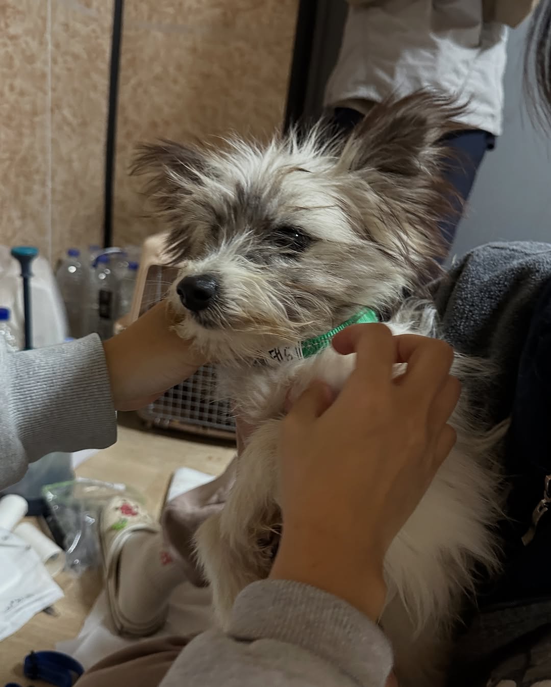 상세 사진 6