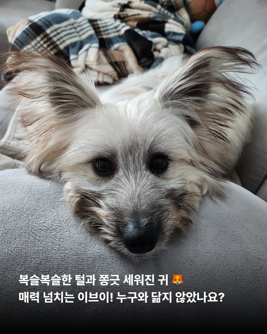 상세 사진 2