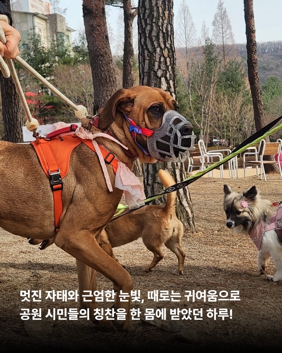 상세 사진 8