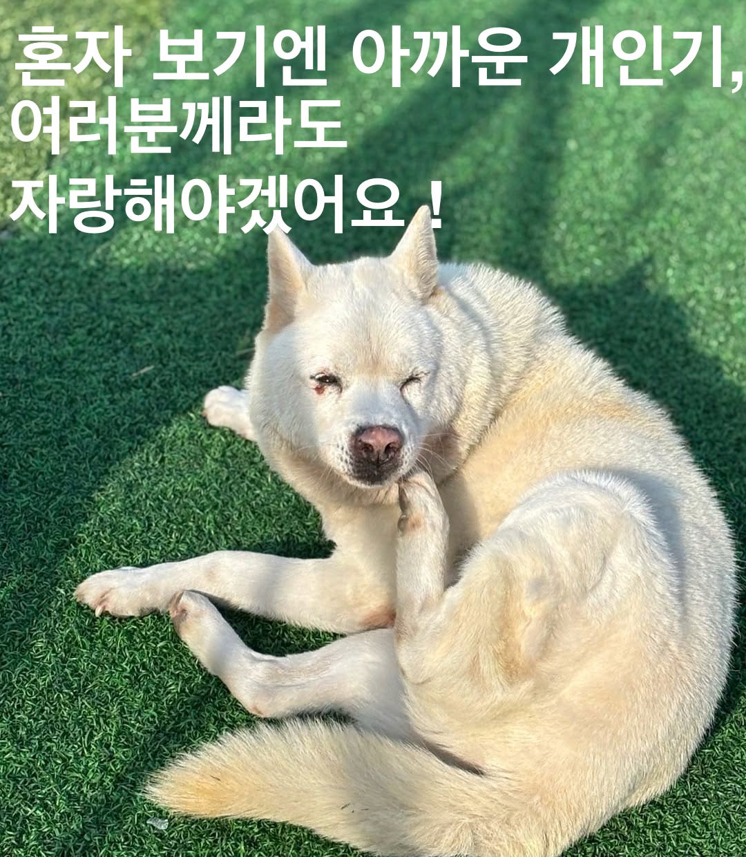 상세 사진 1