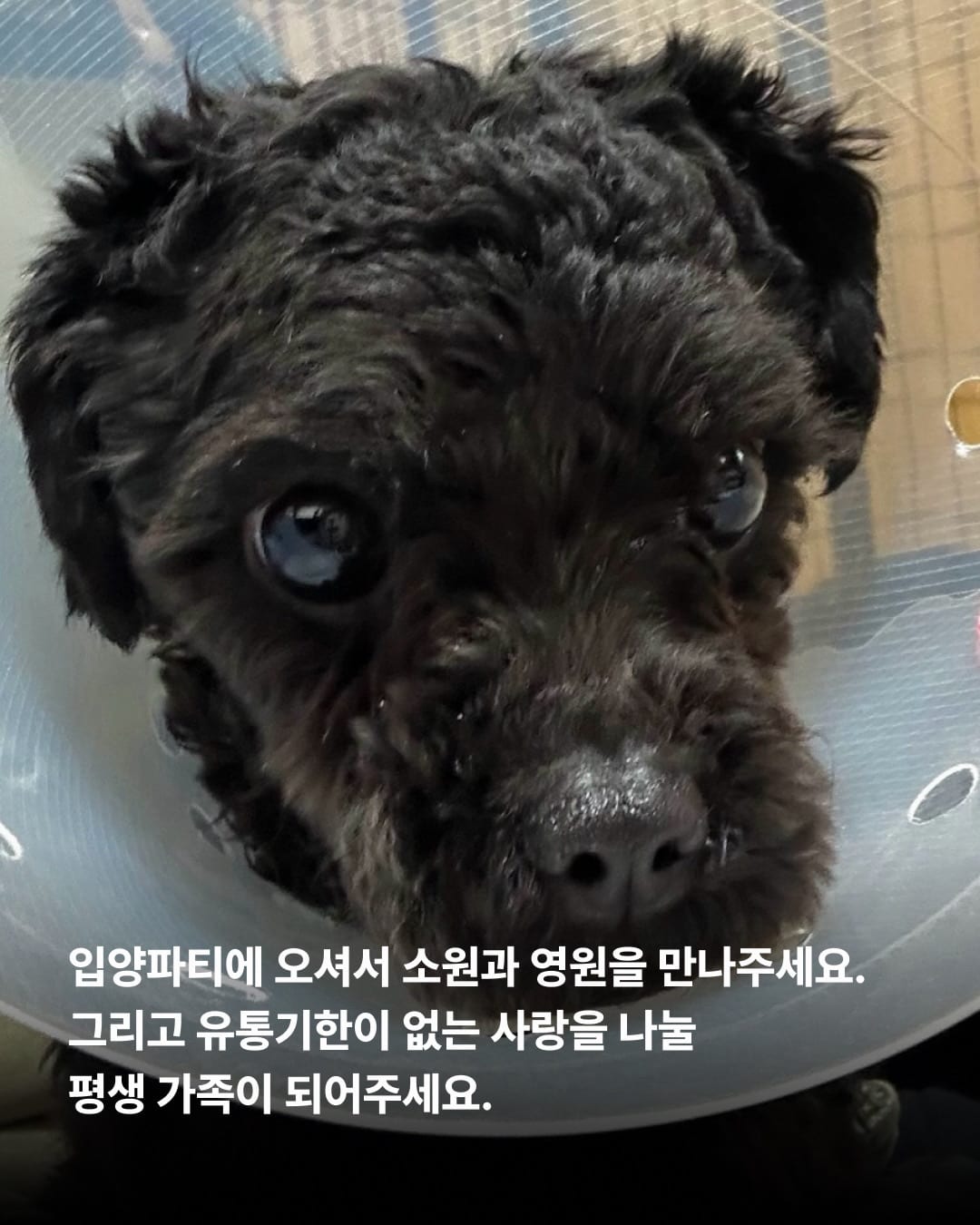 상세 사진 11