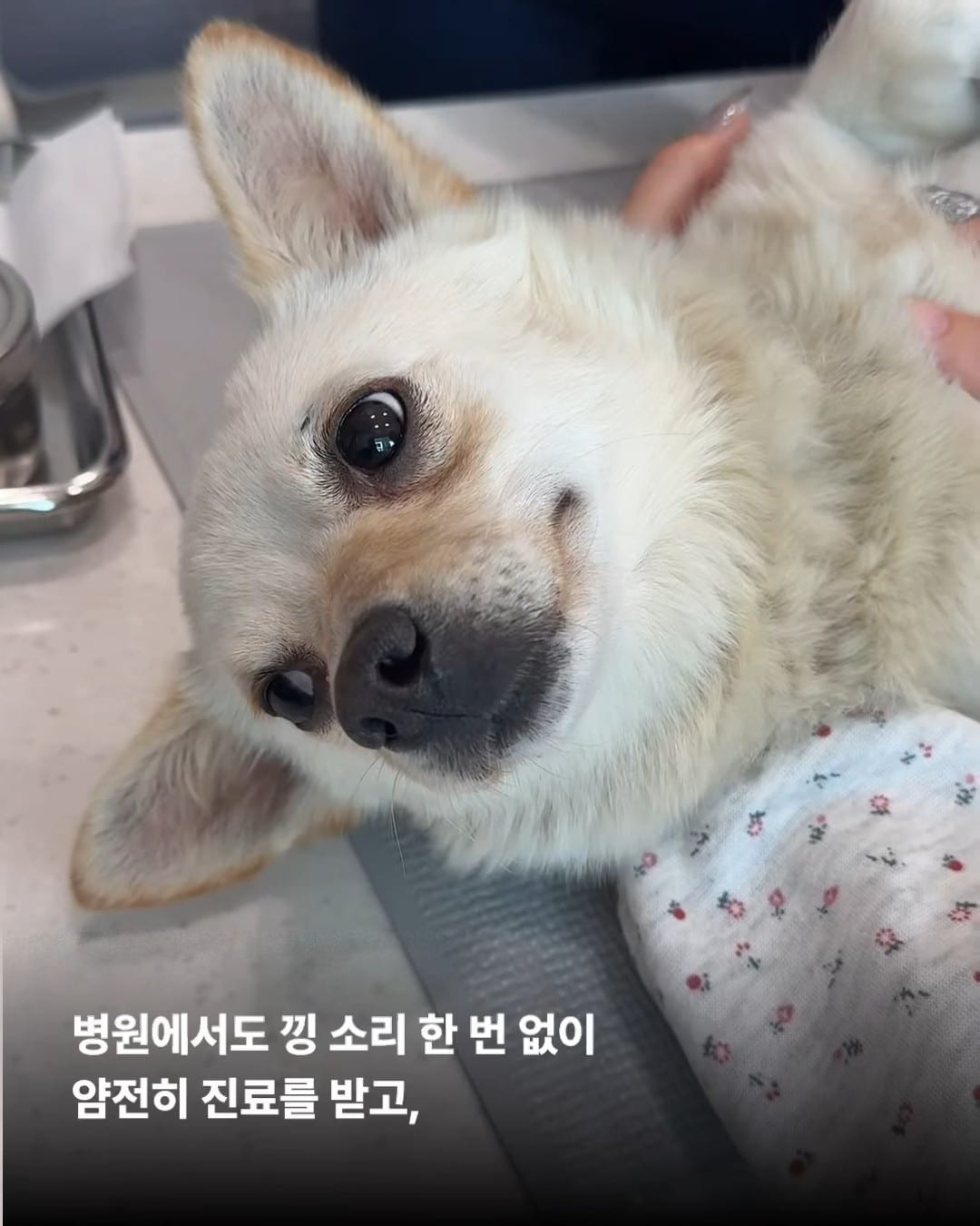 상세 사진 6