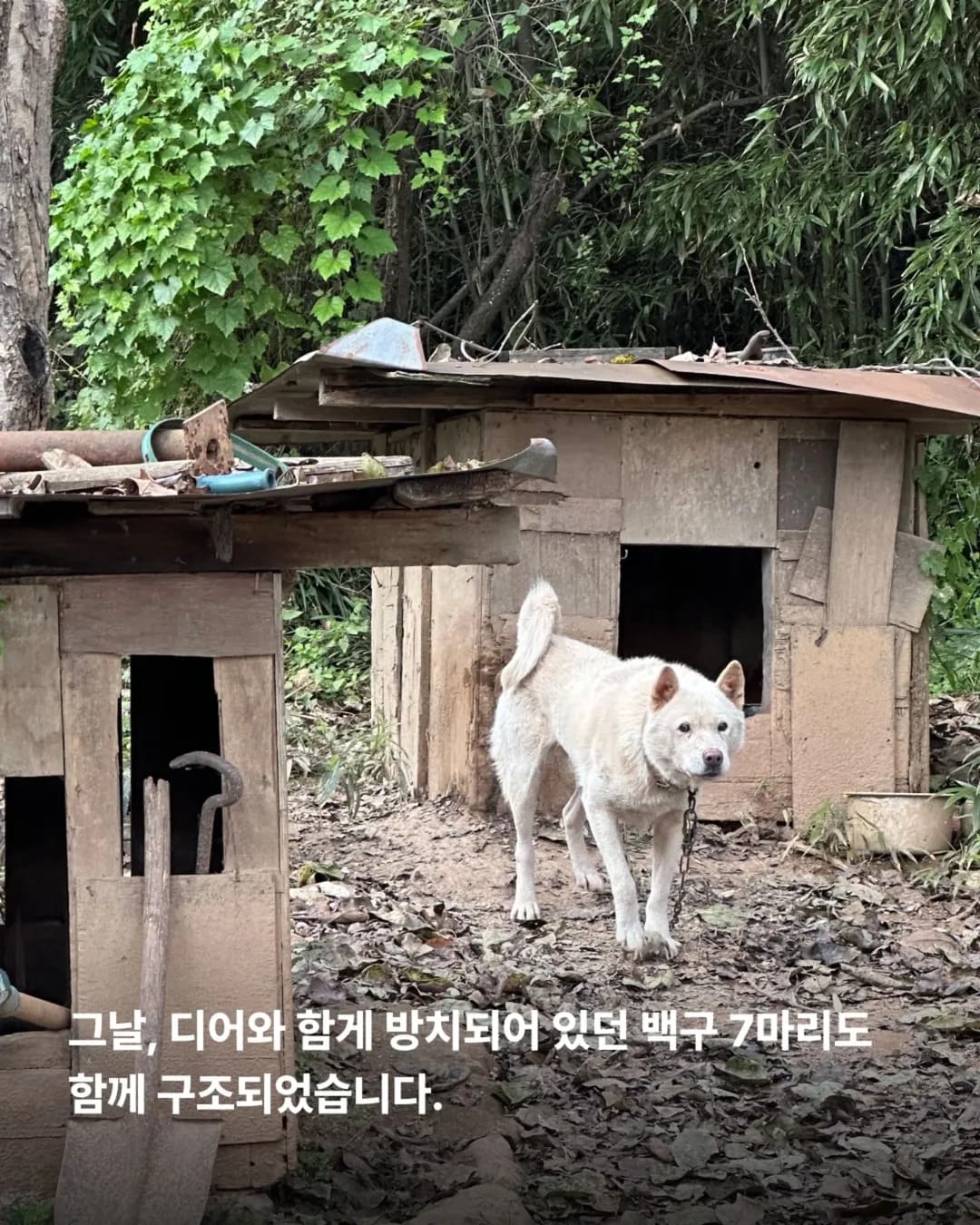 상세 사진 3