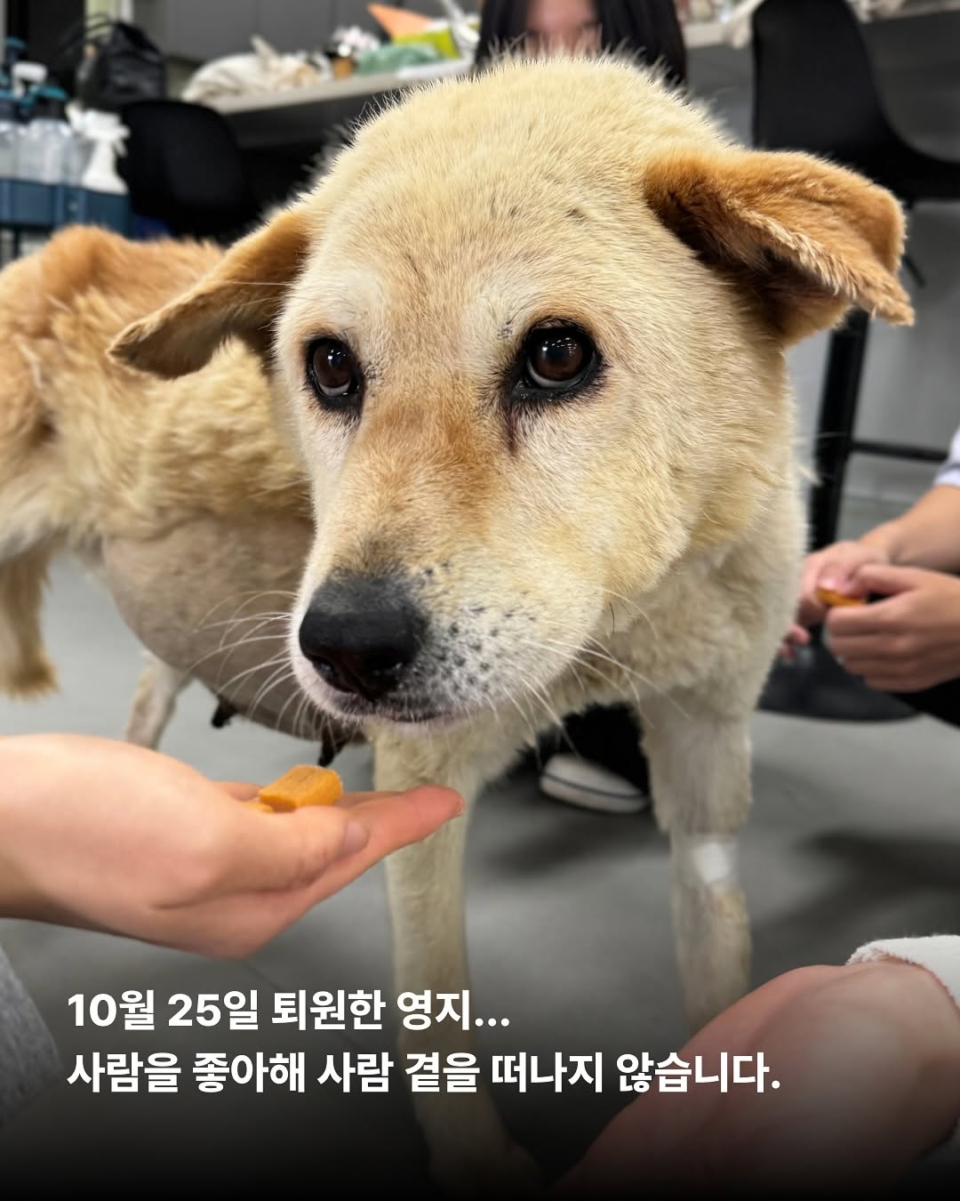 상세 사진 3